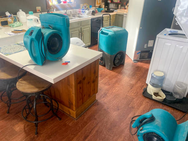 Best Flood damage cleanup  in Park Ridge, IL