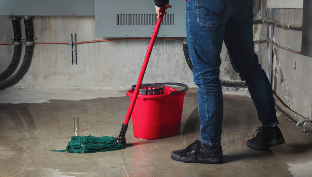  Park Ridge, IL Water damage restoration Pros