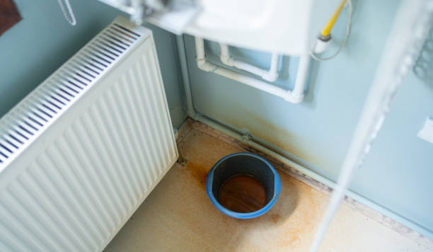 Best Flooded house restoration  in Park Ridge, IL