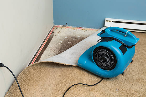 Water damage restoration process in Park Ridge, IL